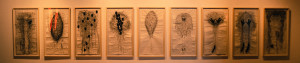 Bibliografía Mario Pasqualotto